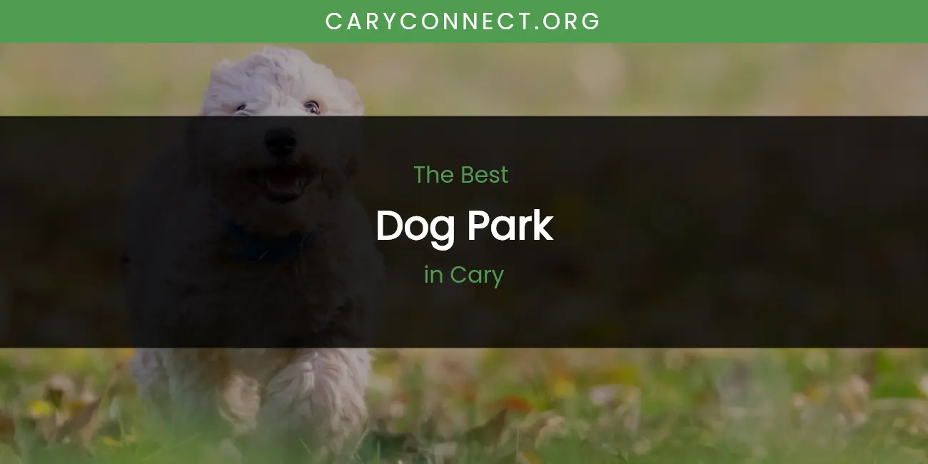 The Absolute Best Dog Park in Cary featured