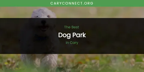 The Absolute Best Dog Park in Cary
