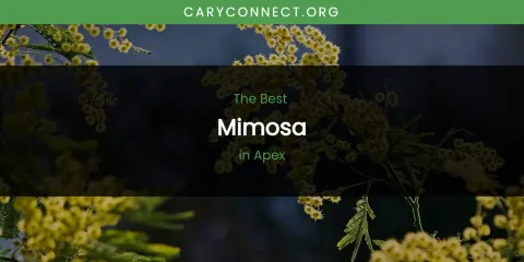 The Absolute Best Mimosa in Apex