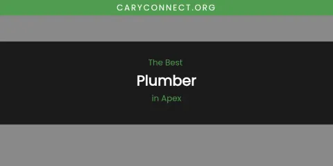The Absolute Best Plumber in Apex