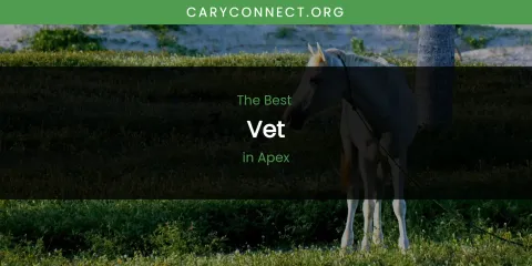 The Absolute Best Vet in Apex