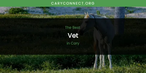 The Absolute Best Vet in Cary