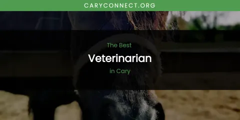 The Absolute Best Veterinarian in Cary